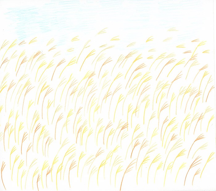 022_ススキ