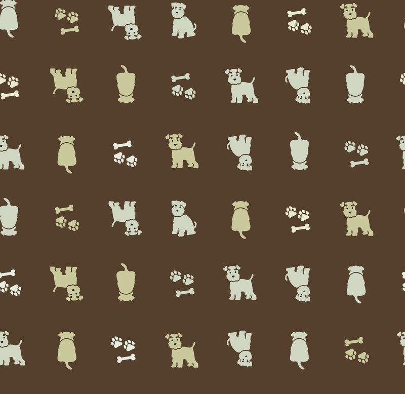 A0001077 – ゆるミニチュアシュナウザーまっすぐ – ブラウン