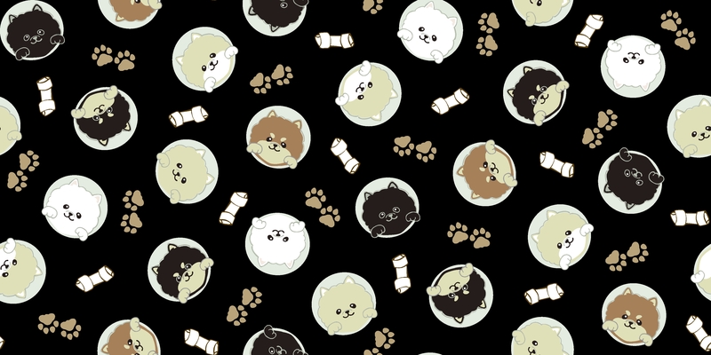 A0001320 – Peepポメラニアン – ブラック