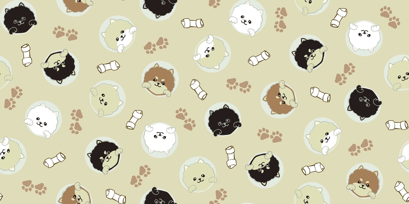 A0001314 – Peepポメラニアン – ベージュ