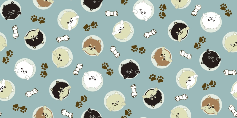 A0001312 – Peepポメラニアン – スモーキーブルー