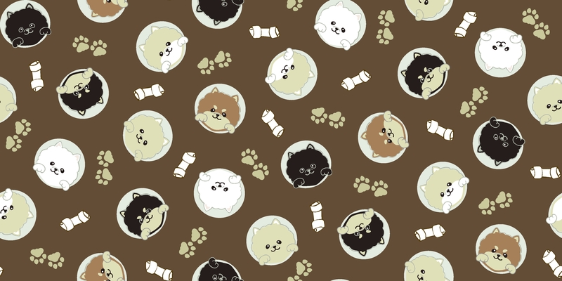 A0001319 – Peepポメラニアン – ブラウン