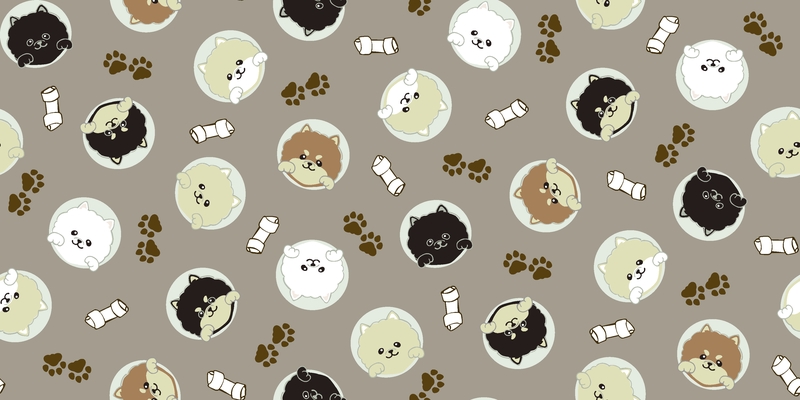 A0001318 – Peepポメラニアン – グレー