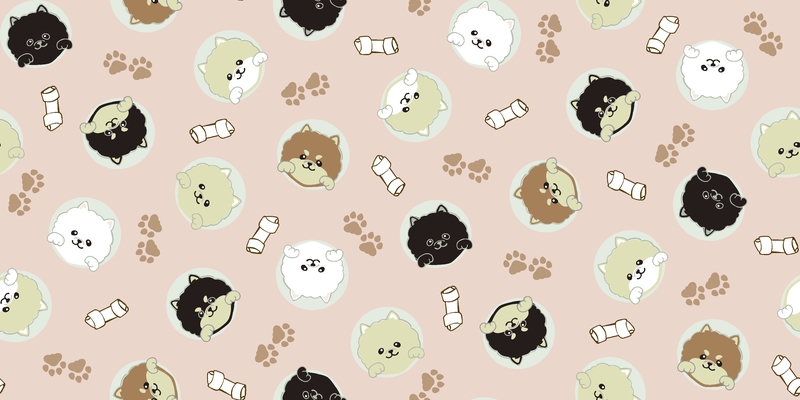 A0001315 – Peepポメラニアン – ピンク