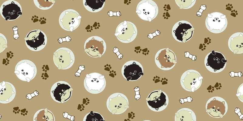 A0001316 – Peepポメラニアン – カフェオレ