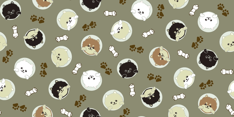 A0001317 – Peepポメラニアン – カーキ