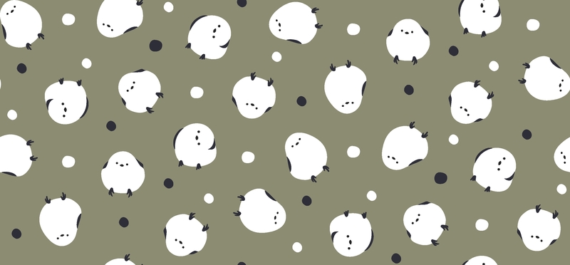 A0001384 – シマエナガ – スモーキーグリーン