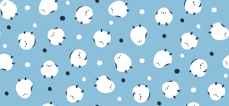 A0001380 – シマエナガ – スカイブルー