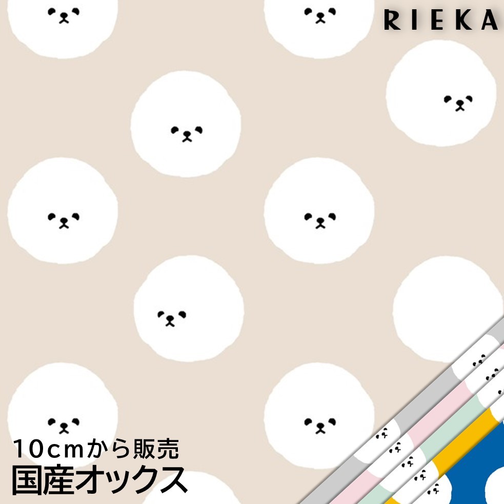 ビションドット