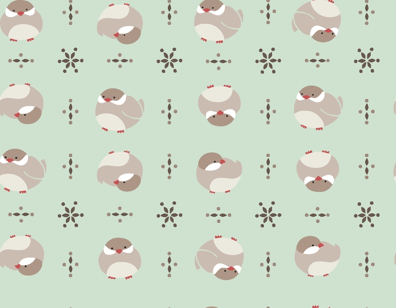 A0002544 – mochimochi文鳥シナモン – ペールライム