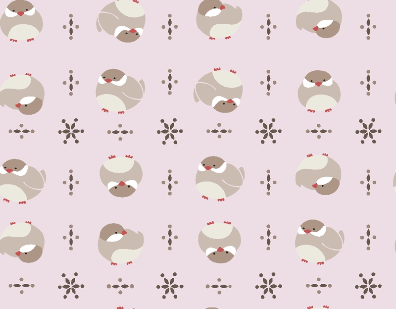 A0002849 – mochimochimini文鳥シナモン – ライトピンク