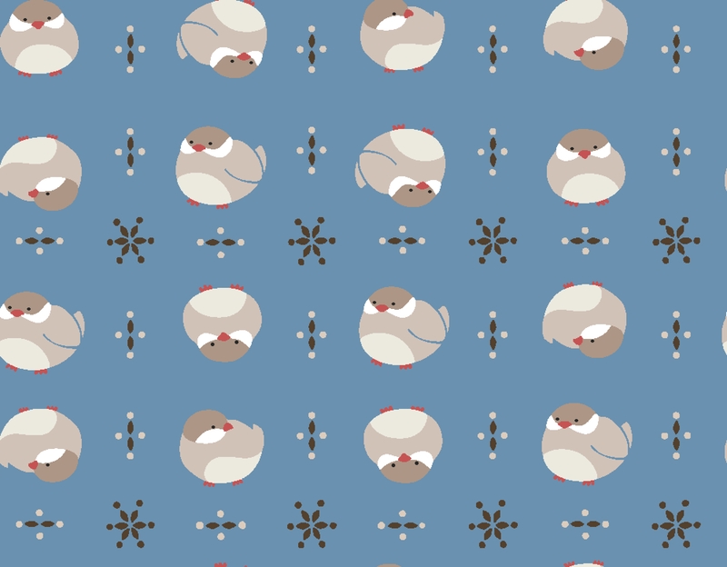 A0002856 – mochimochimini文鳥シナモン – ターコイズ