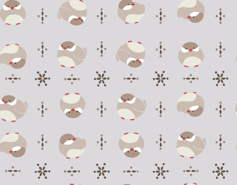 A0002854 – mochimochimini文鳥シナモン – ライトグレー