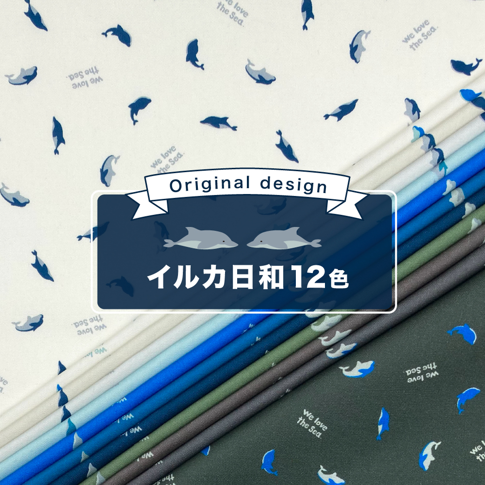 イルカ日和