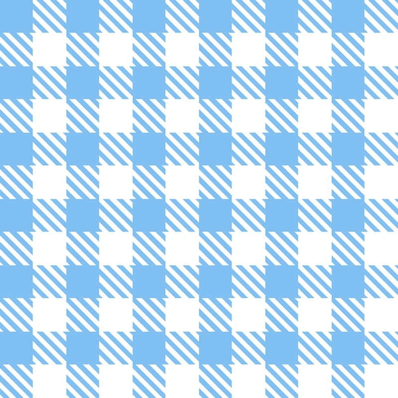 A0003485 – シェパードチェックmicro – ホワイト×サックス