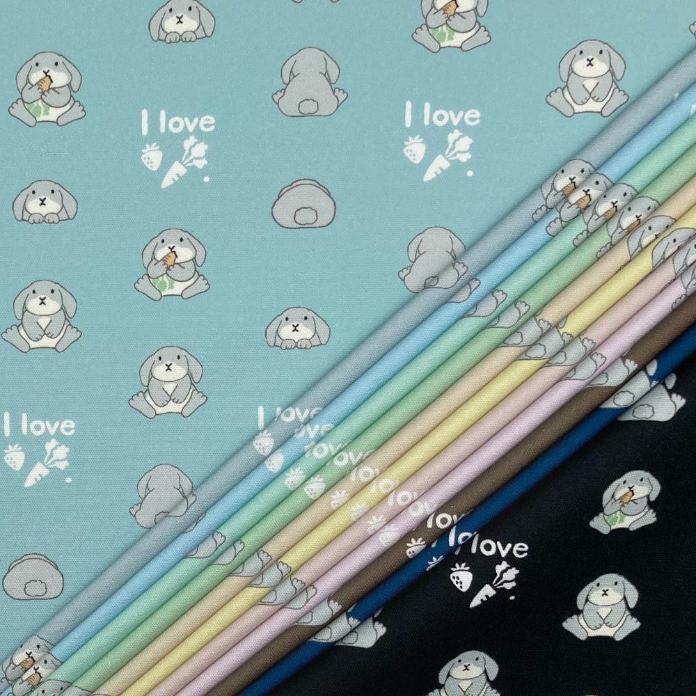 まっすぐ垂れ耳うさぎ