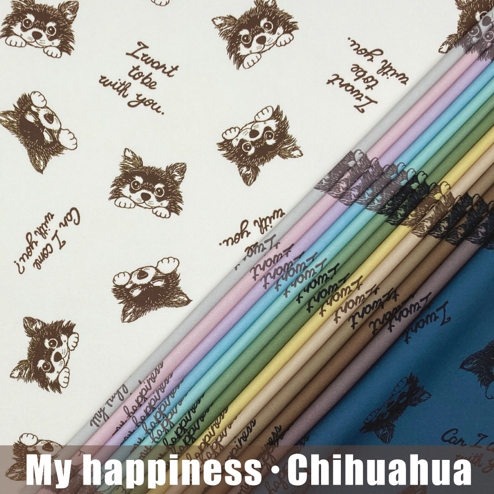 My happiness chihuahua