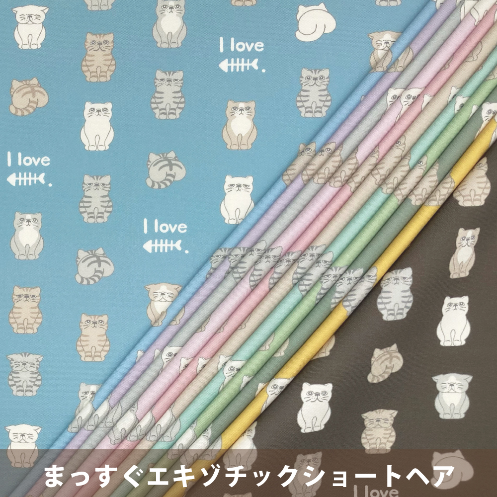 まっすぐエキゾチックショートヘア