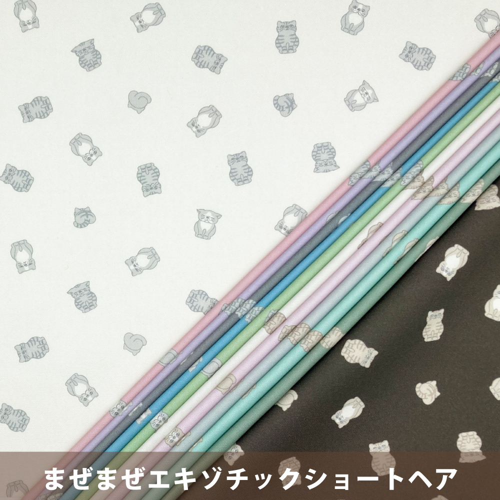 まぜまぜエキゾチックショートヘア