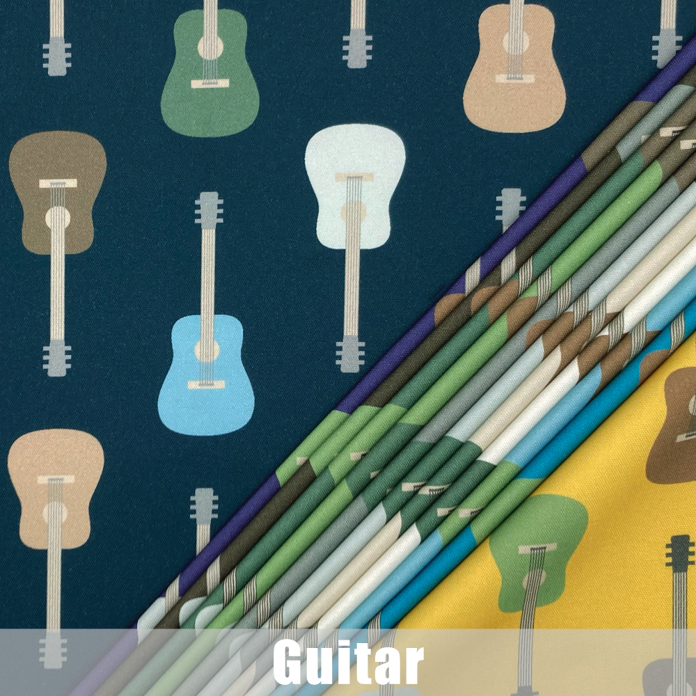 Guitar