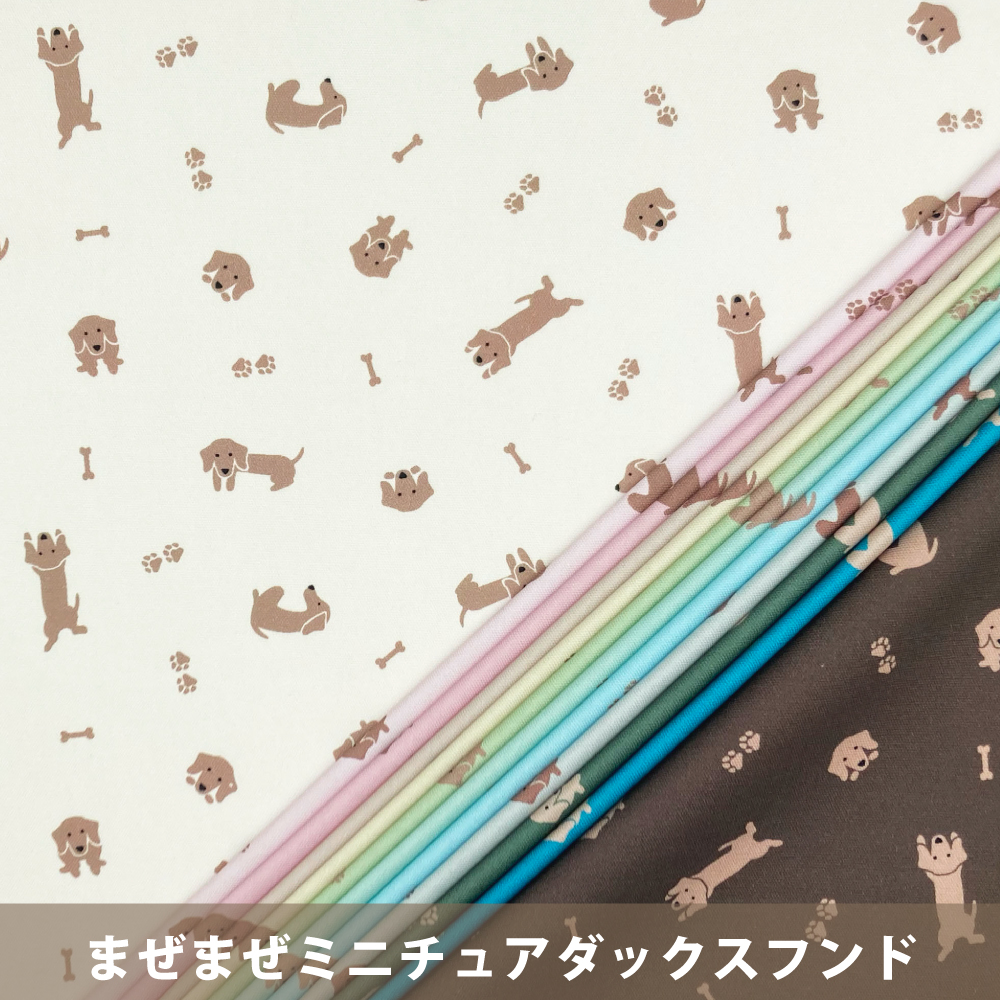 まぜまぜミニチュアダックスフンド